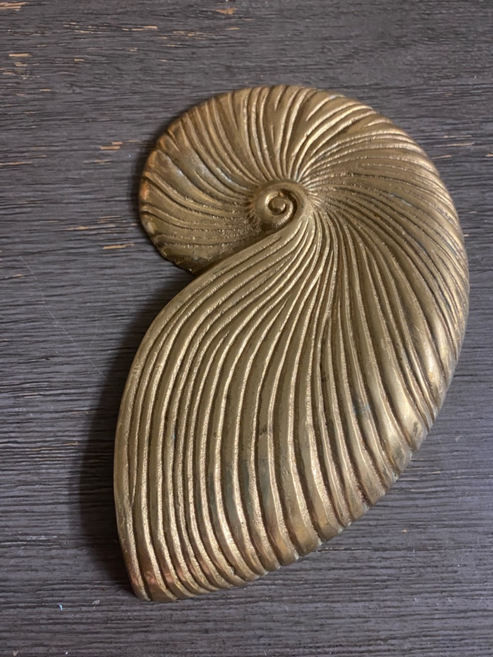 Brass Nautilus Shell Accent Sculpture - Gold Home Art